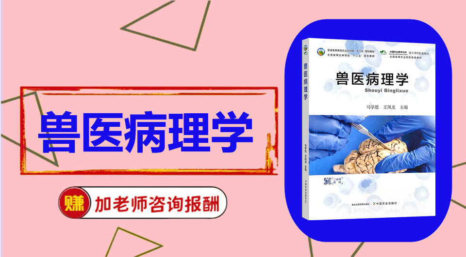 《兽医病理学》 初试/复试资料整理